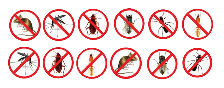 atuamos na eliminação de todas esses bichos